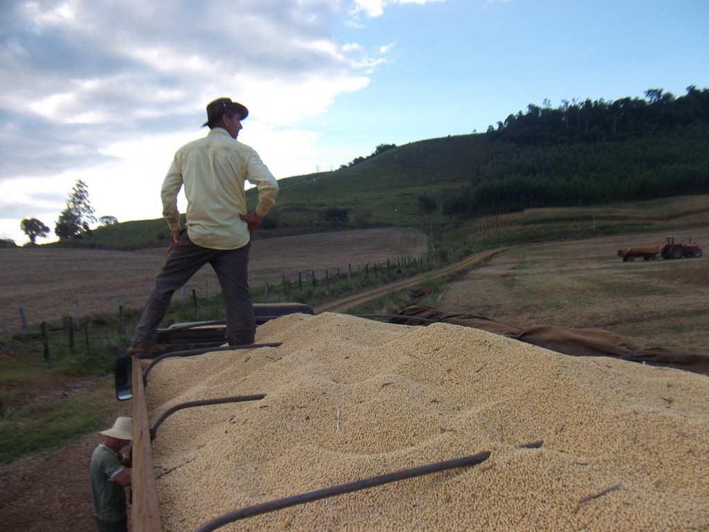 A propriedade do agricultor tem 110 hectares. Foto: Adriane Meazza