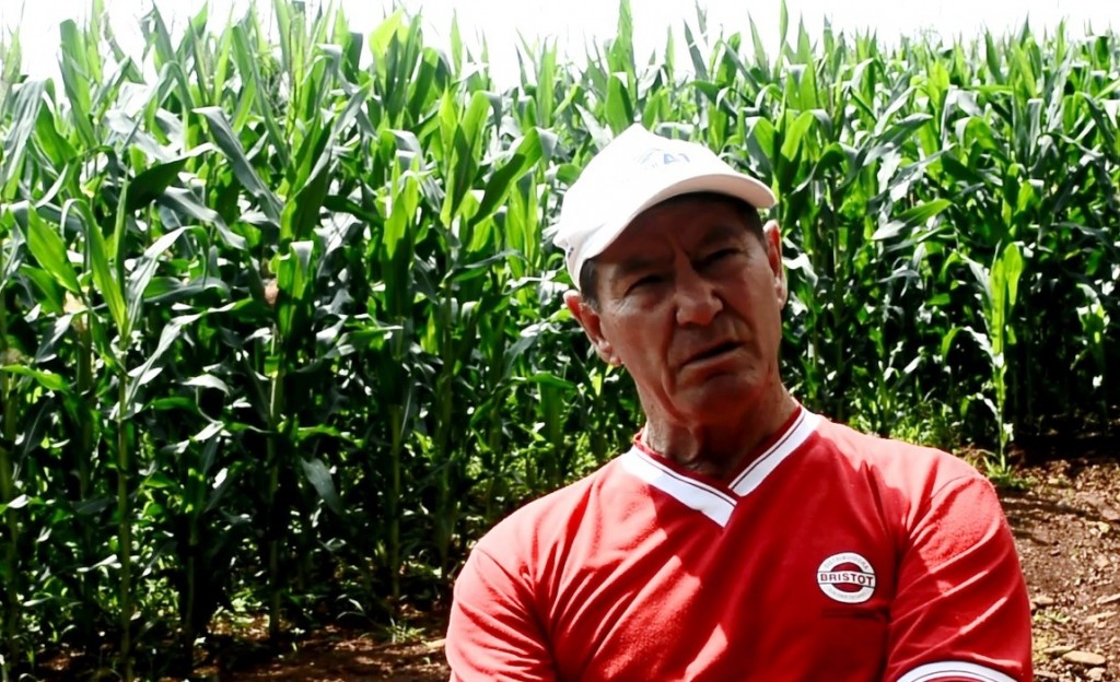 Marino Scheffler ficou sabendo dos transgênicos pelos meios de comunicação. Foto: Darlei Lottermann 